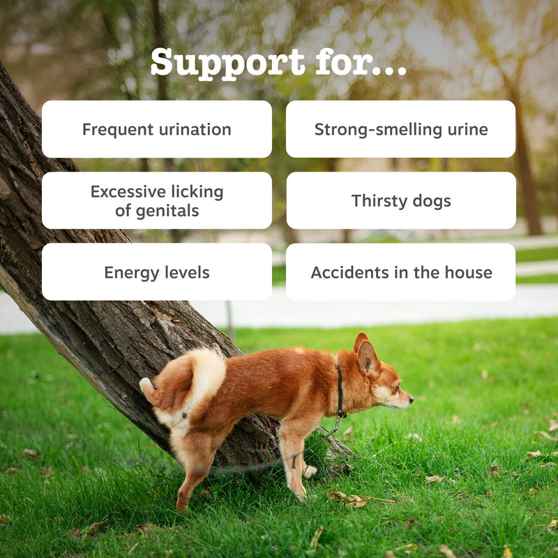 Zesty Paws Urinary Care Chews for Dogs | Supports Urinary Tract & Immune Function, Maintain pH Balance, Helps Incontinence | Contains Cranberry Powder, D-Mannose, Vitamins C| Turkey Flavour | 60 Chews