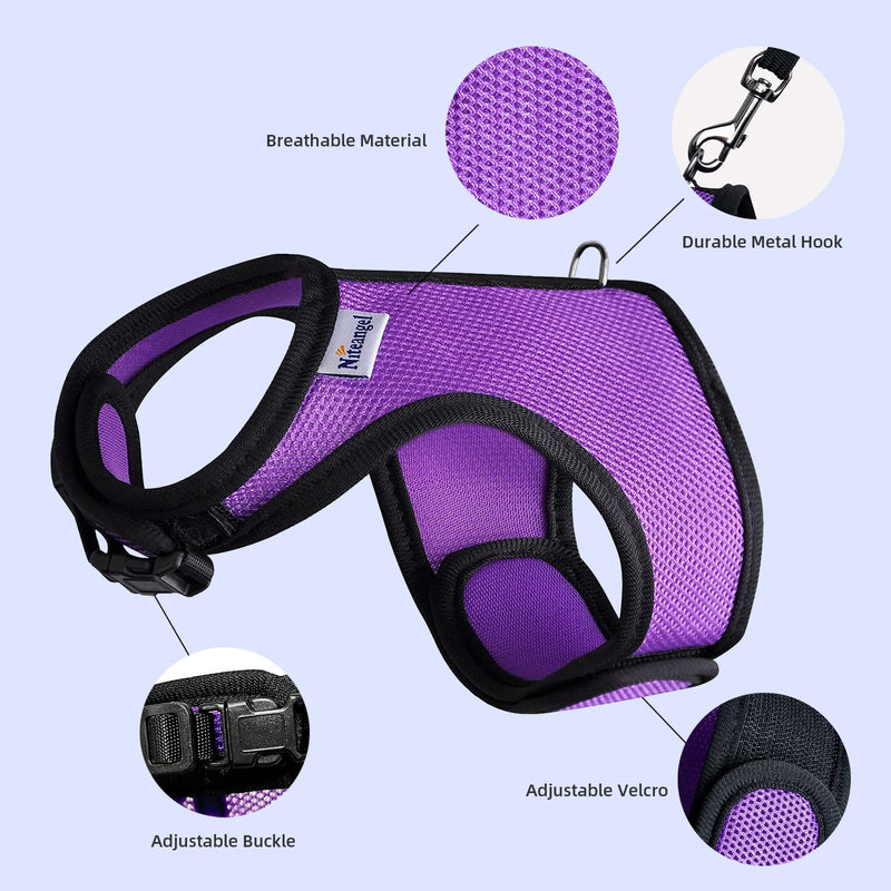 Niteangel Adjustable Soft Harness with Elastic Leash for Rabbits (L, Blue) L - BeesActive Australia