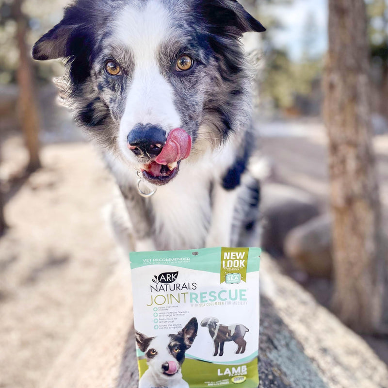 Ark Naturals Sea Mobility Joint Rescue Dog Treats, Lamb Flavor, Joint Supplement with Glucosamine & Chondroitin, 1 Pack 9 Ounce (Pack of 1) - BeesActive Australia