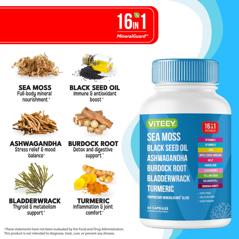 Viteey Sea Moss Capsules with Black Seed Oil - 16in1 MineralGuard | Irish Sea Moss Supplement with Bladderwrack, Burdock Root & Ashwagandha – Immune & Mineral Support - 60 Capsules