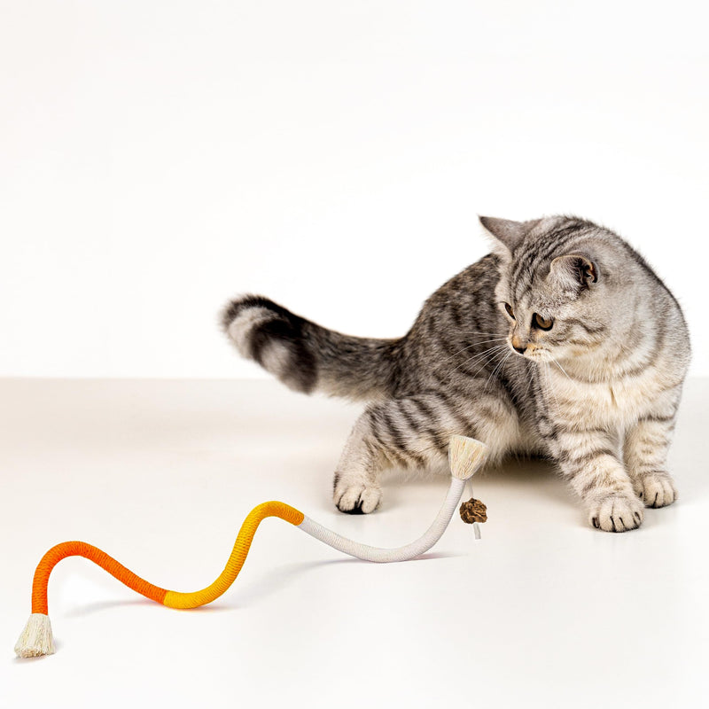 Cat Chew Rope - 3 Pack Cat Chew Ropes for Teeth Cleaning, Kitten Teething Toys with Stick to Transfer Chewing from Wires to Cotton String 3 Chew Ropes