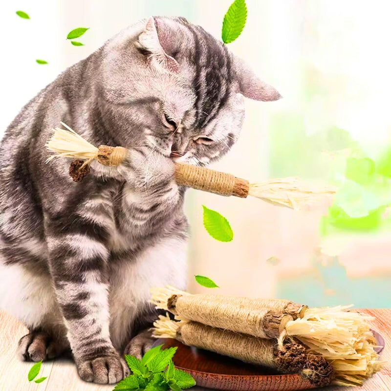 TheGuard 4 Natural Catnip Toys Set; 3 Matatabi Silvervine Chew Sticks & Cute Scented Mint Fish Cat Chew Toy with Catnip & Sound for Cuddle (Natural Teethers) Natural Teethers