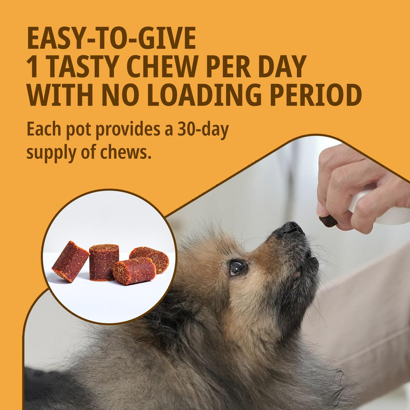 MOVOFLEX® Joint Supplement for Small Dogs <15kg | Supports Joints & Mobility | Fast-Acting Tasty Chews | 30 Chews