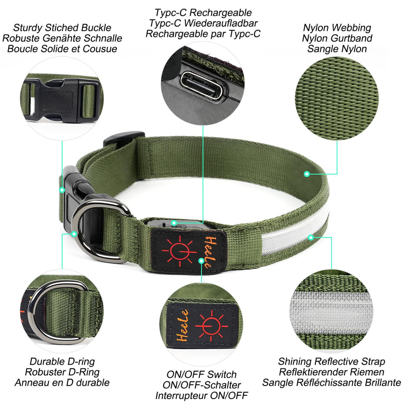 HEELE Luminous Dog Collar, Luminous Collar, Type-C Rechargeable, Luminous Dog Collar, Waterproof, LED Collar for Dogs, Dog Collar with 3 Lighting Modes, Green, M - BeesActive Australia