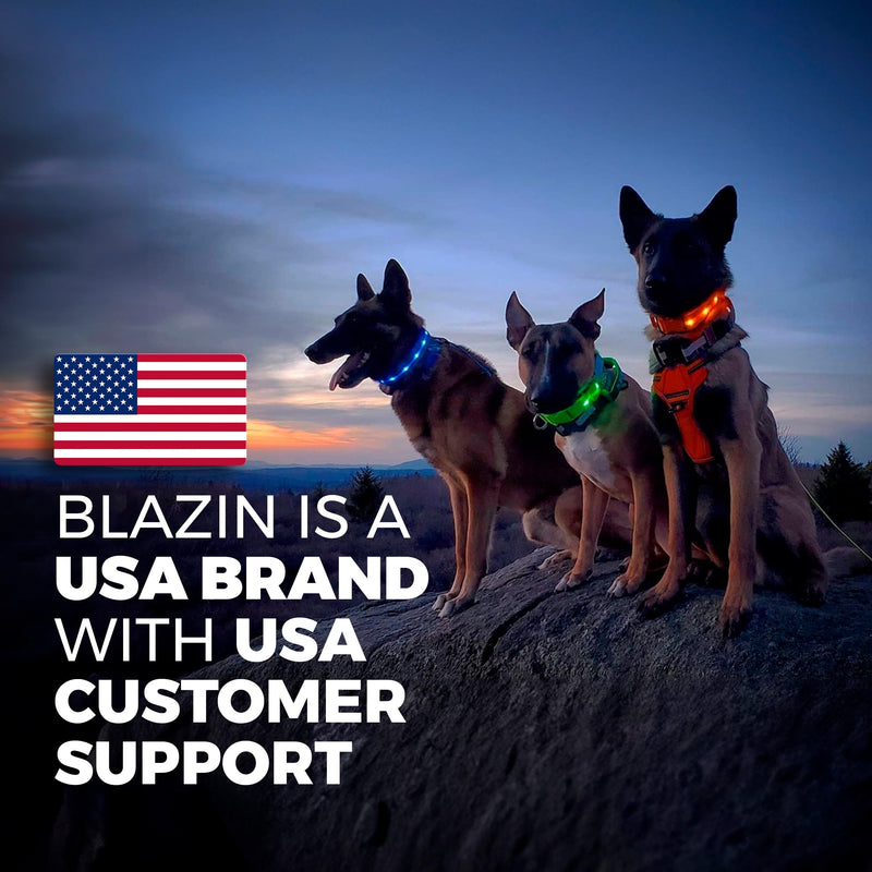Blazin Brightest Light Up Dog Collars - The Original LED Dog Collar with 1,000 Feet of Visibility - USB Rechargeable Waterproof Dog Collar Light - Dog Lights for Night Walking - USA Brand Large (Pack of 1) Green - BeesActive Australia