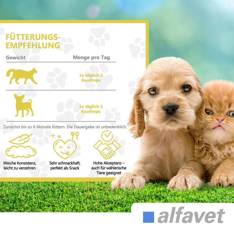 Alfavet FeliGum Hepato, supplementary food for cats and small dogs, for chronic liver insufficiency, 120g, approx. 60 chewing drops - BeesActive Australia