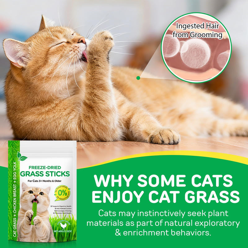 ISUNRISE 60g/2.12oz Cat Grass Sticks, Delicious Freeze-Dried Cat Grass Treats Edible Cats Chew Toy Kitten Snacks for Hairball Removal and Teeth Cleaning 2.12 Ounce (Pack of 1)