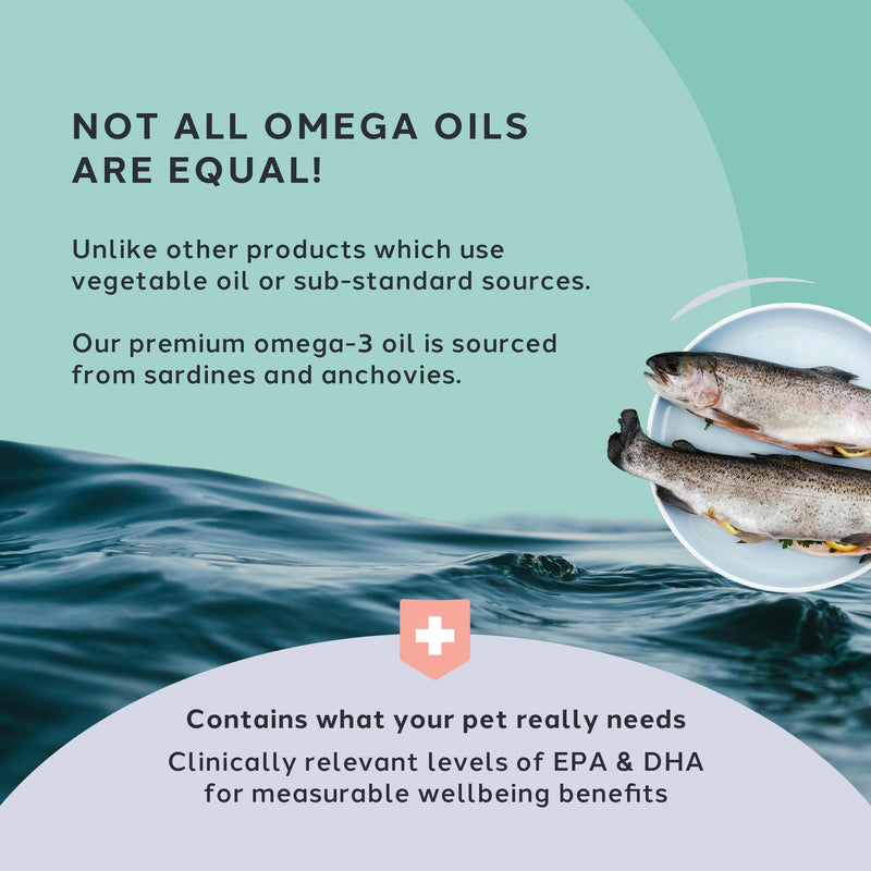 CharlieTheVet Vitality Care Omega 3 Fish Oil Supplement for Dogs, EPA 810mg & DHA 540mg per 5ml, with Vitamin E, for Skin, Joint & Heart Health