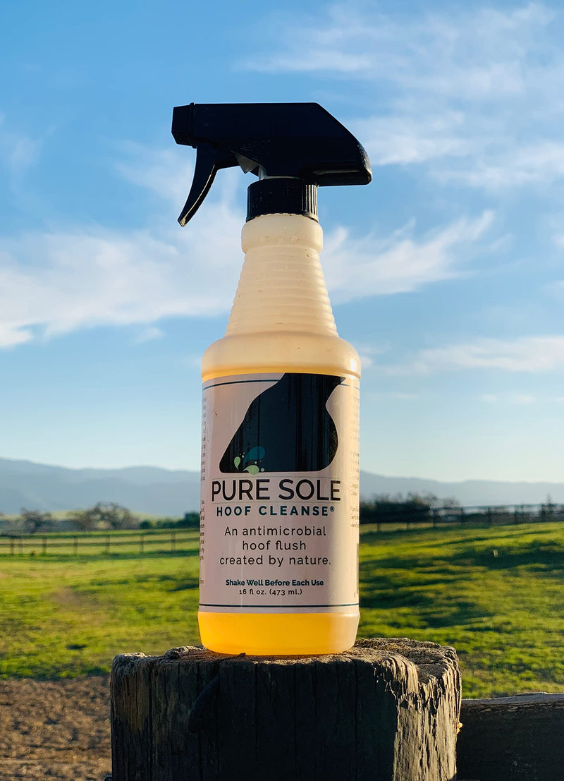 Thrush Treatment for Horses Hoof Spray Hoof Cleanse- an All Natural Spray for A Healthy Horse Hoof. Use for White Line, Abscess Treatment, Cracks, and Hoof Wall Separation - 16 oz - BeesActive Australia
