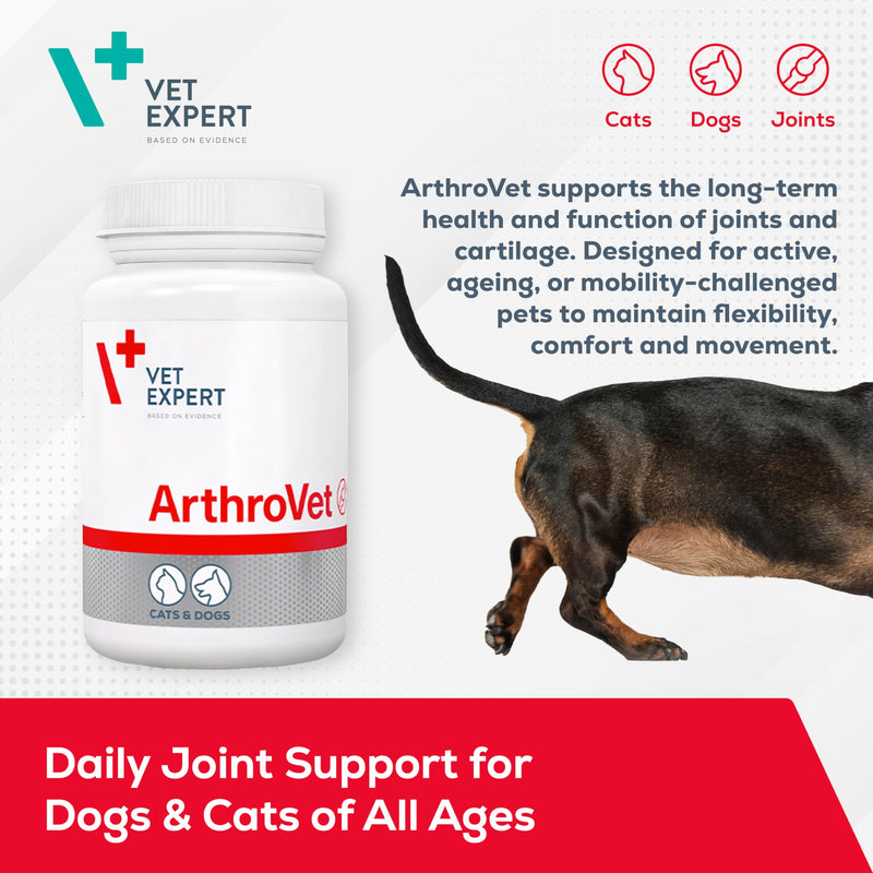 Vet Expert ArthroVet Hip & Joint Support Supplement for Dogs and Cats - 90 Portions – Promotes Healthy Articular Cartilages and Joints with Glucosamine, Chondroitin, Vitamin C, and Hyaluronic Acid