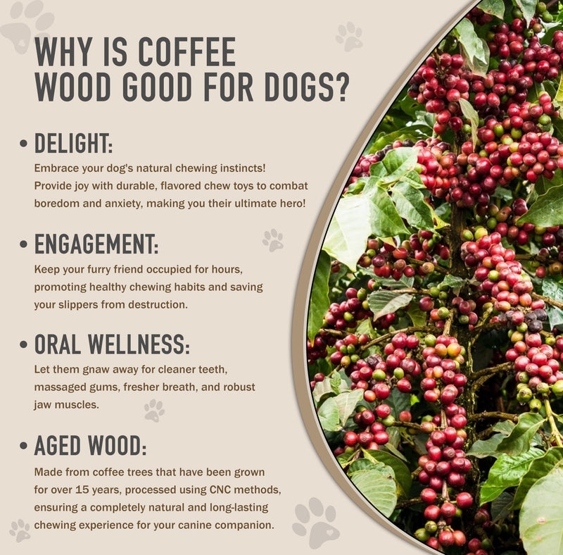 Coffee Wood Dog Chew Stick and Rope for Regular Chewers, 2 Pack Size Large - 100% Natural Dog Toys - Dog Teeth Cleaning & Relieve Stress, Organic Toys - BeesActive Australia