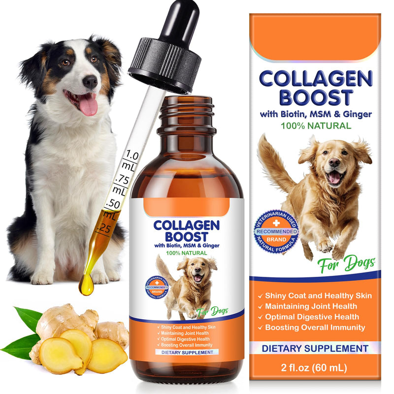 Liquid Collagen Supplement for Dogs – with Biotin, MSM & Ginger – Supports Joint Health, Skin & Coat, Digestion & Immunity – 2 fl oz (60 ml)
