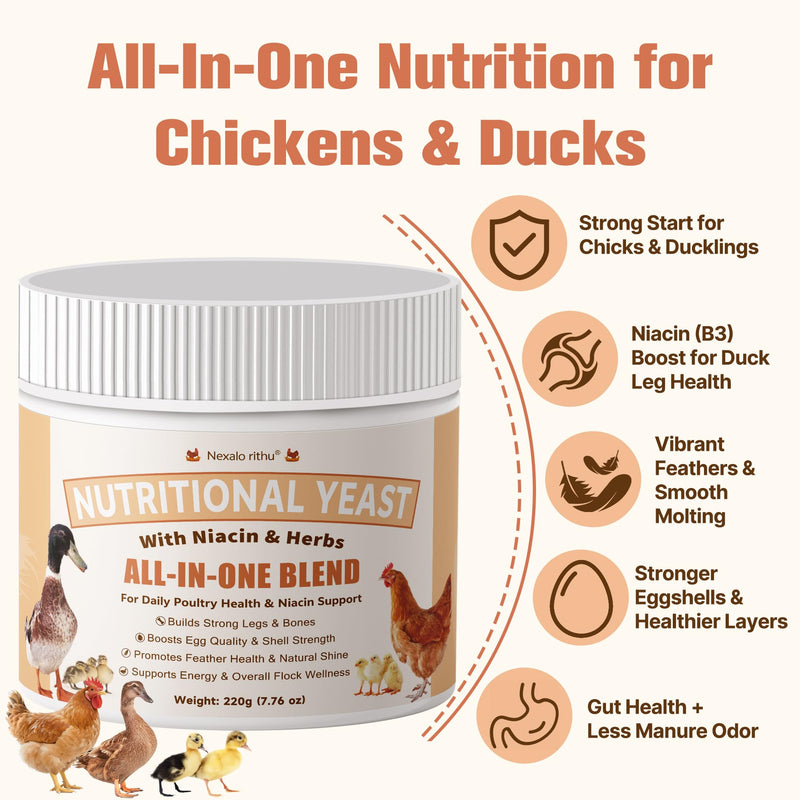 Nutritional Yeast for Ducks & Chickens - Up to 10X More Niacin Than Brewers Yeast for Chickens - Duck & Chicken Vitamins for Strong Bones, Immune Support, Molting & Egg Quality-for Chicks & Ducklings