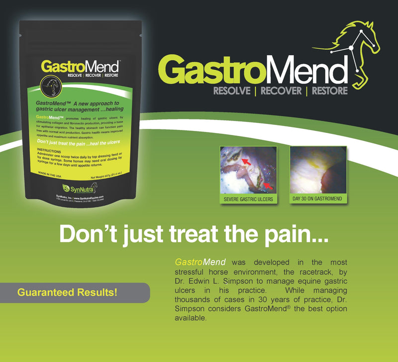 GastroMend® Gastrointestinal Health Supplement for Horses, 100% Natural, Promotes Stomach and Gut Health in Equines, Cost-Effective Digestive Wellness, 60 Servings per Pouch, Made in The USA - BeesActive Australia