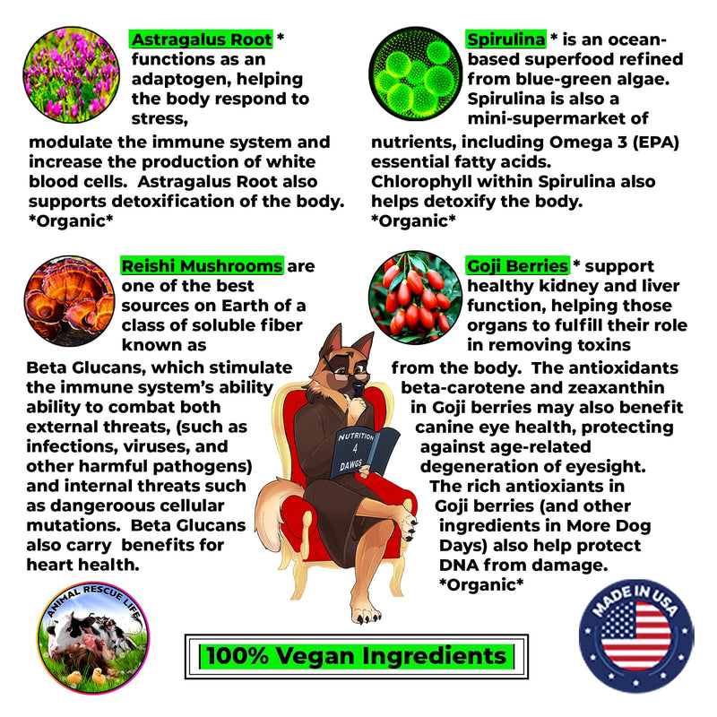 Anti-Aging & Immune Support | Organic, Human-Grade Ingredients | Medicinal Plants & Mushroom Extracts | Omega 3's, Antioxidants, Probiotics, Vitamins & Minerals | Plant-Based & Vegan