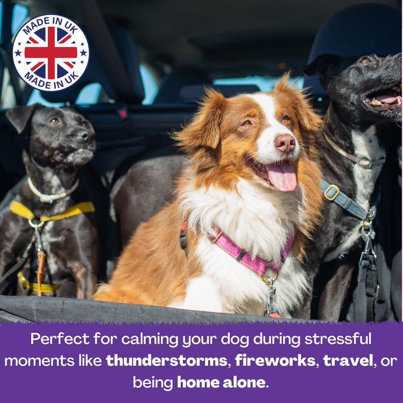 Calm Powder for Dogs - Up to 150 Servings - 130g - Natural Relief for Stress, Reduce Separation Anxiety, Barking, Fear, Reactivity, Travel & Hyperactivity - Calming for All Breeds & Ages Single