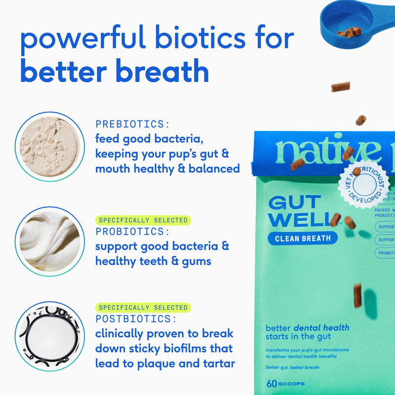Native Pet Fresh Breath Bundle: 60 Scoops GutWell Clean Breath - Dog Breath Freshener & 5 Small Yak Cheese Himalayan Dog Chews - Long Lasting Dental Sticks