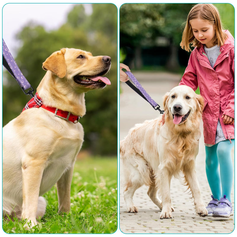 Short Dog Leash,Traffic Leash,Reflective Nylon Padded Handle,Nylon Short Dog Leash for Training Control - for Large and Medium Sized Dogs. (Moon) Moon - BeesActive Australia