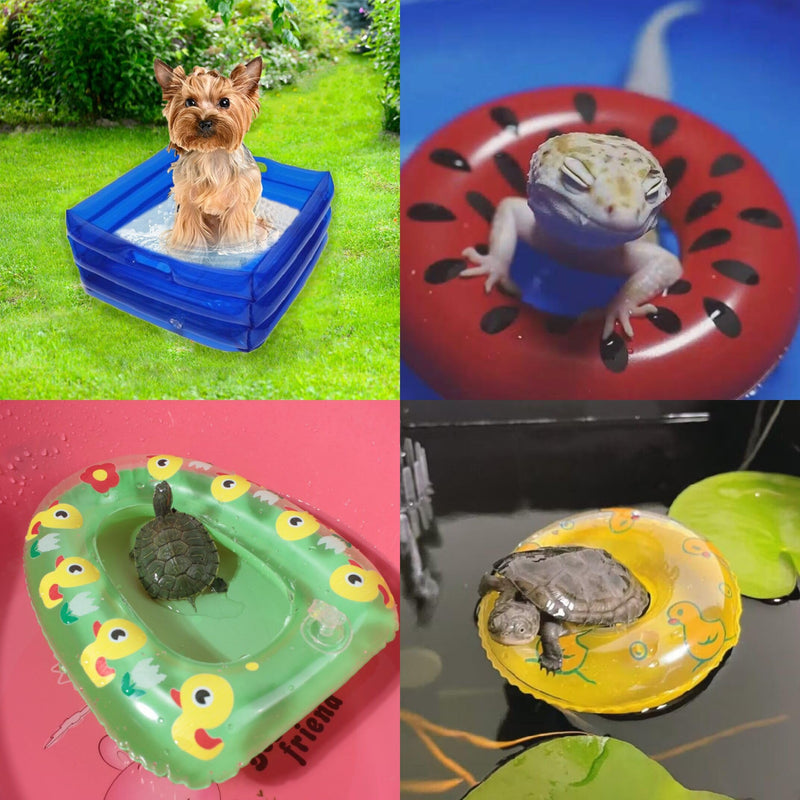 7 Pcs Foldable Bearded Dragons Pool Bath Collar Ring & Boat Set Swimming Bath Water Washer for Small Animal Hedgehog Hamster with Pump 7 Pcs Set - BeesActive Australia