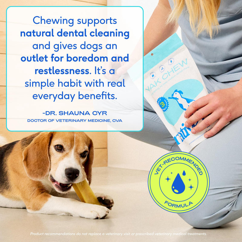 Native Pet Advanced Calming Chews for Dogs & 3 Medium Yak Cheese Himalayan Dog Chews - Long Lasting Dental Sticks for Medium Breeds Supports Mental Enrichment & Helps with Anxiety Related Behavior