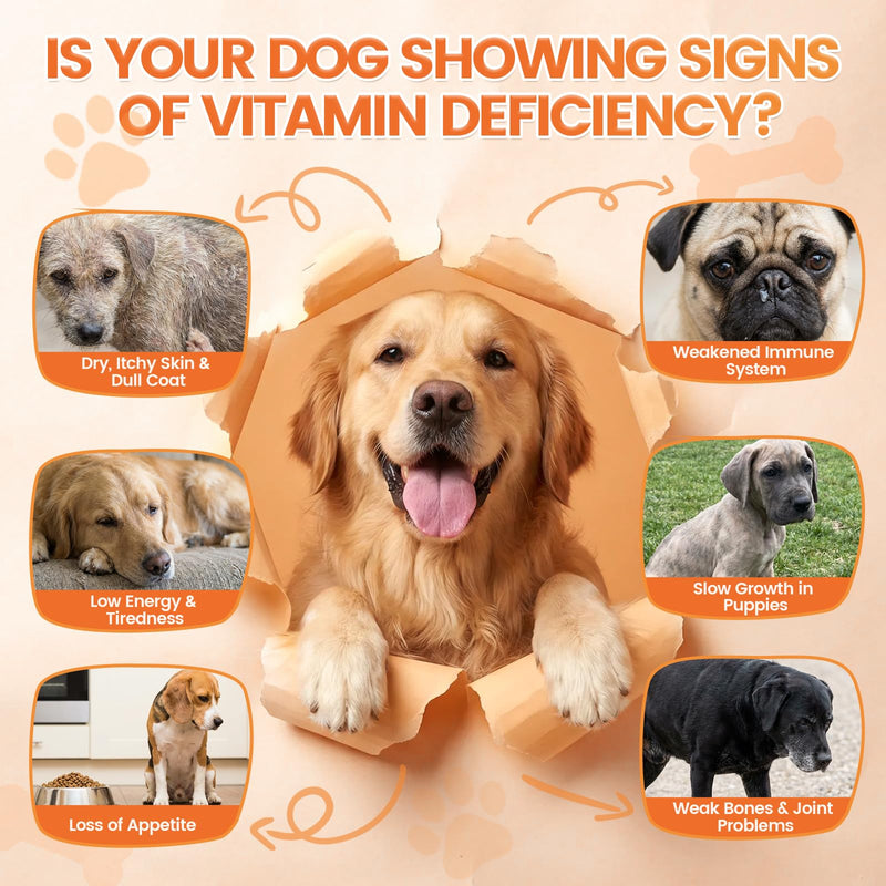 Dog Vitamins and Supplements, 16-in-1 Dog Multivitamin Soft Chews, Daily Nutrition Support for Energy, Heart, Skin & Coat, Digestion, with Taurine, Omega 3, Zinc & B Vitamins, 500 Ct for All Breeds