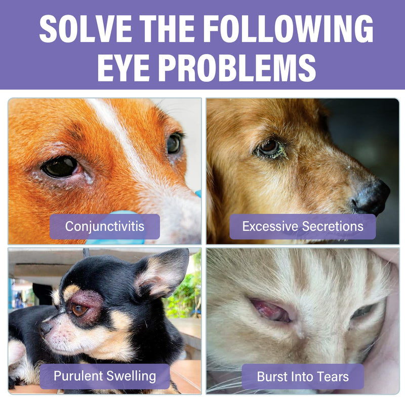Dog Eye Drops, Premium Eye Drops for Dogs to Flush & Soothe, Advanced Dog Eye Wash for Daily Care & Tear Stain Prevention, Effective Dog Eye Infection Treatment, 10ml/2 Bottles 1Count(Pack of 1)