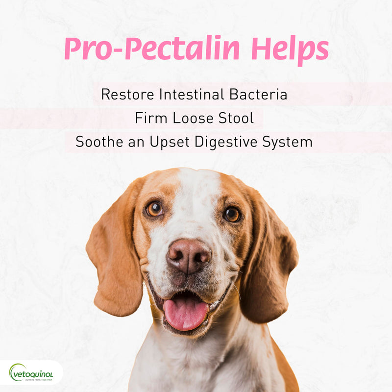 Vetoquinol Pro-Pectalin Oral Paste for Dogs & Cats – 30cc, Chicken Flavor – Helps Reduce Occasional Loose Stool & Diarrhea, Balance Gut pH, Support Normal Digestion & Intestinal Flora - BeesActive Australia