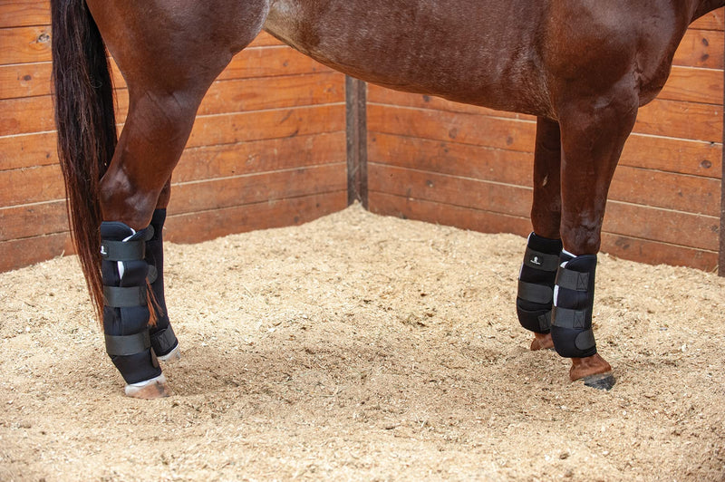Classic Equine Quick Wraps Black Medium - BeesActive Australia