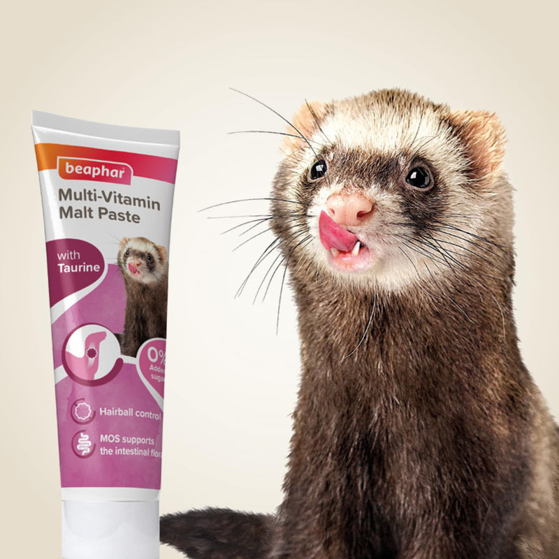 Beaphar Vitamin/Malt Paste for Ferrets 100 g (Pack of 3)