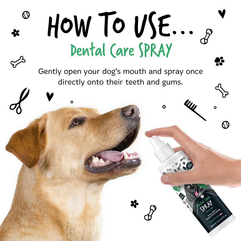 BUGALUGS Dog Breath Freshener Dental Care Dog Spray. Clean Teeth, Healthy Gums & Fresh Breath - Natural Dog plaque remover & tartar remover for teeth. No Brushing Needed (Dog 250ml Spray) 250 ml (Pack of 1)