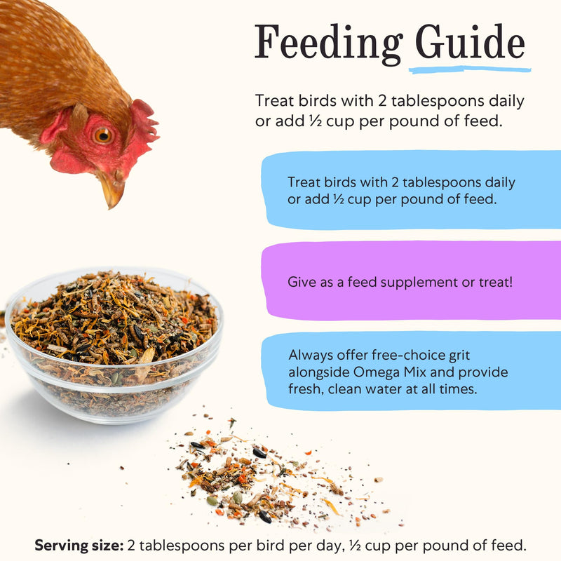 Grubbly Farms Omega Mix - Omega Enriching Feed Supplement for Chickens (1LB) Omega Mix - 1 LB - BeesActive Australia