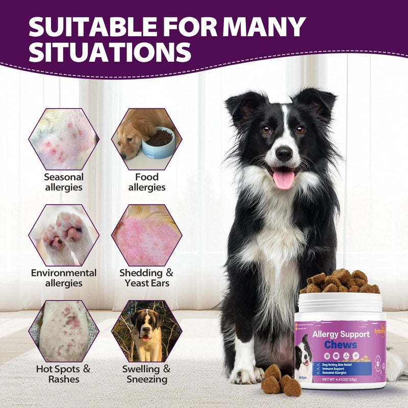 Dog Allergy Chews for Itchy Skin and Seasonal Allergies, Dog Allergy and Itching Skin Relief with Probiotics and Turmeric, Allergy Paw Relief and Dogs Coat Immune -50ct 50ct
