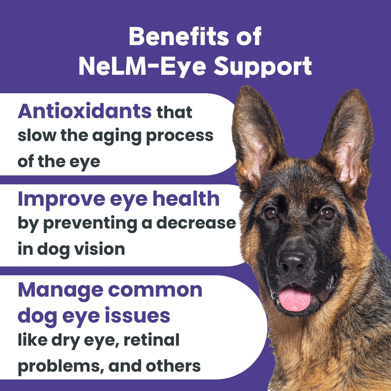 Mepet NeLM Eye Support for Dogs - Antioxidants, Lutein, Beta-Carotene, Vitamin C & E for Eye Care and Vision Support - Oral Dissolving Film, Allergens and Additives Free - Beef Flavor (30 Films) - BeesActive Australia