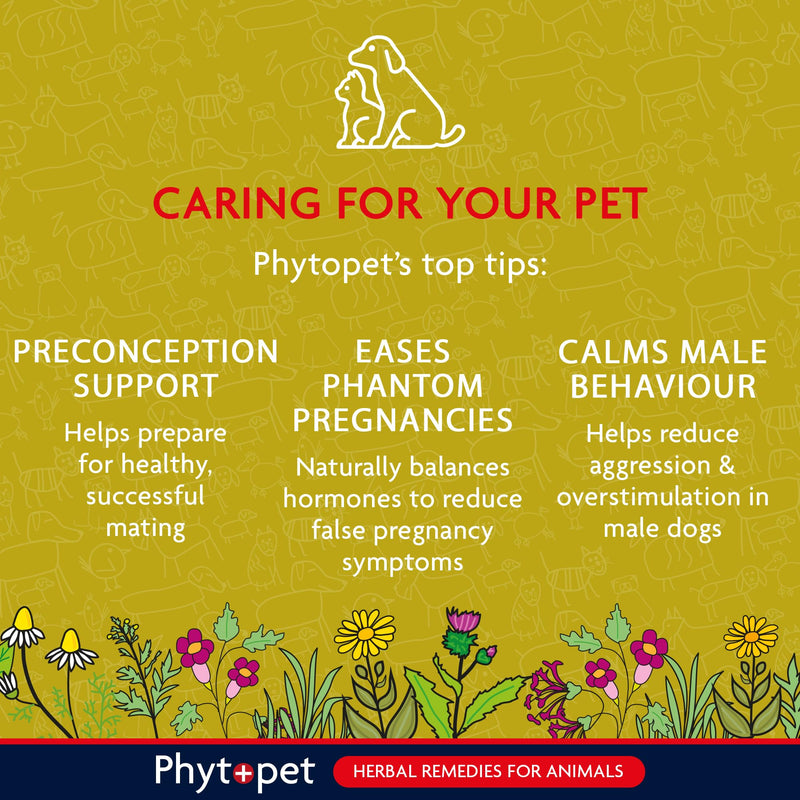 Phytopet Balance, All Natural Hormone Balance and Stability for Dogs and Cats, Easy to Use Herbal Supplements, 30ml - 100% Herbal Phytopet Pet Supplies
