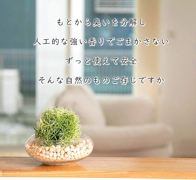reliqua odore Tosa Hinoki Block, Made in Japan, Hinoki Chip, Potpourri, Fragrant, Deodorizing, Vacuum Packing, 2.9 fl oz (600 g), 2.6 gal (75 g) x 8 Bags), Fragrance, Fresh - BeesActive Australia