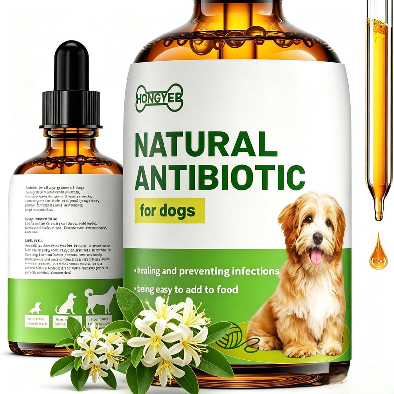 Dog Antibiotics for Infections, Cough, & Itching | Natural Antibiotics for Dogs for All Ages to Promote Wound Healing | Dog UTI Treatment and Tooth Infection Treatment | Chicken Flavor | 2 Oz