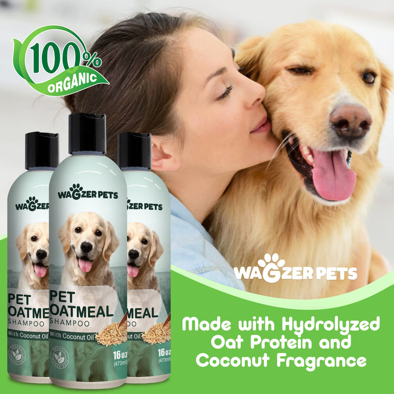 Oatmeal Dog Shampoo with Coconut Oil for Dogs | Soothing Dog Shampoo for Itching and Dry Skin | Oatmeal Bath Hypoallergenic and Gentle Pet Care for Sensitive Skin and Coat | 16 oz - PawsPlanet Australia