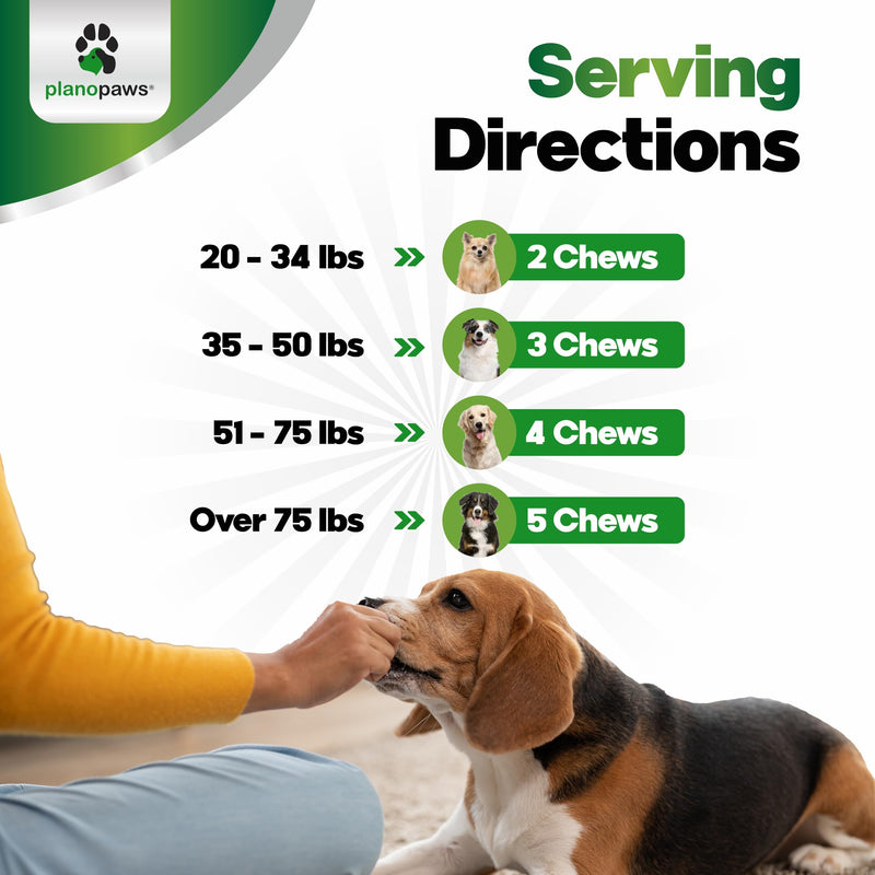 Probiotics for Dogs – Digestive Health Chews with Prebiotics & Enzymes | Dog Probiotic Supplement for Gut, Diarrhea Relief, Gas & Allergy Support – Chicken Flavor Soft Chews 90 Count