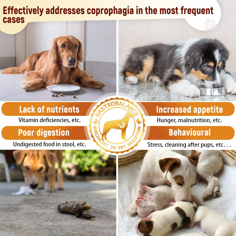dog coprophagia relief – 100% natural ingredients coprophagia deterrent for dogs – 60 coprophagia soft chews to stop stool eating (Chicken) Chicken