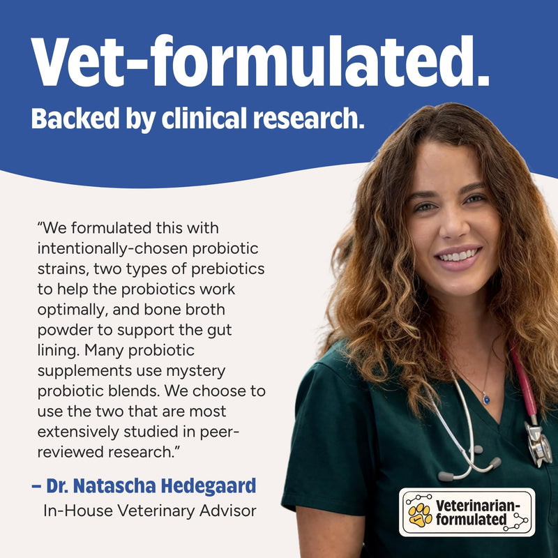 Joyfull Probiotics for Dogs - Supports Gut Health, Immune System, Occasional Diarrhea, Digestive Health, Gas & Bloating - 30 Packets of 1g Powder Probiotics