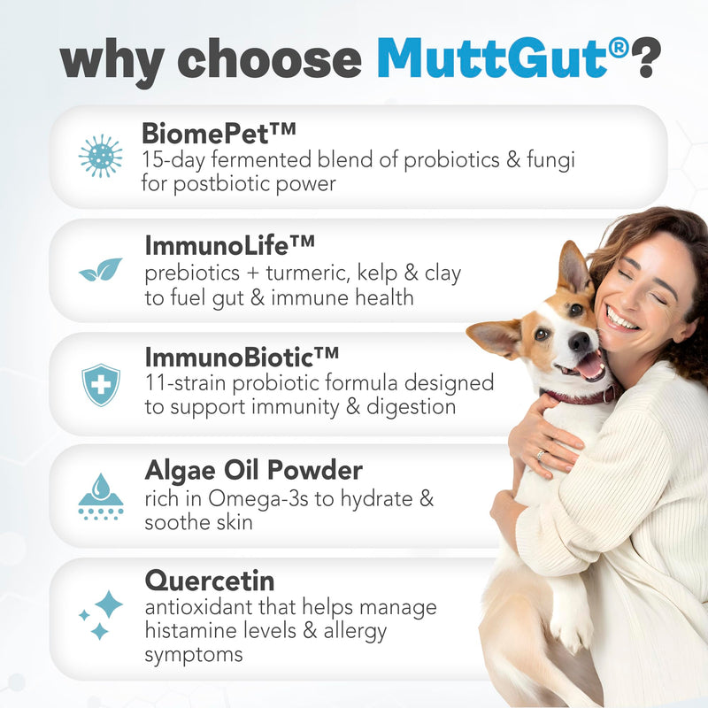 MuttGut® Dog Allergy and Immune Chews - Itch Relief for Dogs with Skin & Coat Support - Allergy Relief for Dogs Itching & Licking - Pet Allergy Chews for Seasonal Allergies - 60 Soft Chews