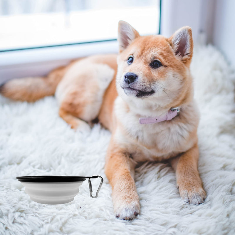 Collapsible Dog Travel Bowls, 2 Pack Dog Small/Large Travel Bowl Portable Foldable Pet Feeding Watering Dish for Traveling, Walking, Parking Small, 12oz Black+White - BeesActive Australia