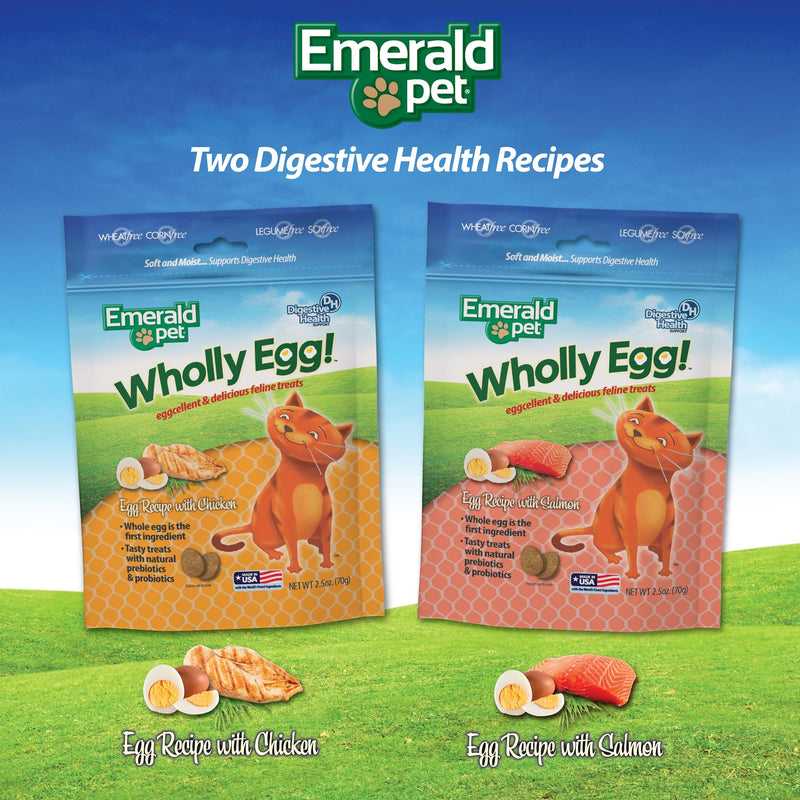 Emerald Pet Wholly Egg Cat Treats for Digestive Health – Soft & Moist Chicken Cat Treats with Natural Prebiotics & Probiotics – Supports Gut Health, 2.5 oz