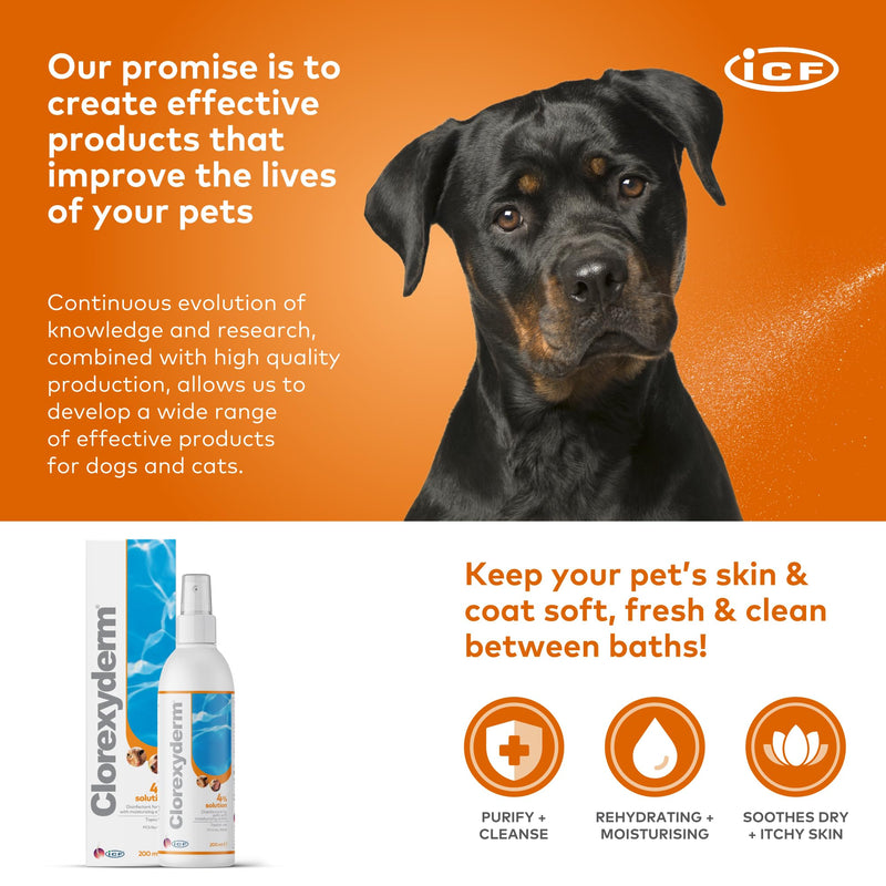ICF | Clorexyderm 4% Solution Spray for Dogs & Cats | Vet-Recommended No-Rinse Skin Cleanser & Conditioner, 200ml