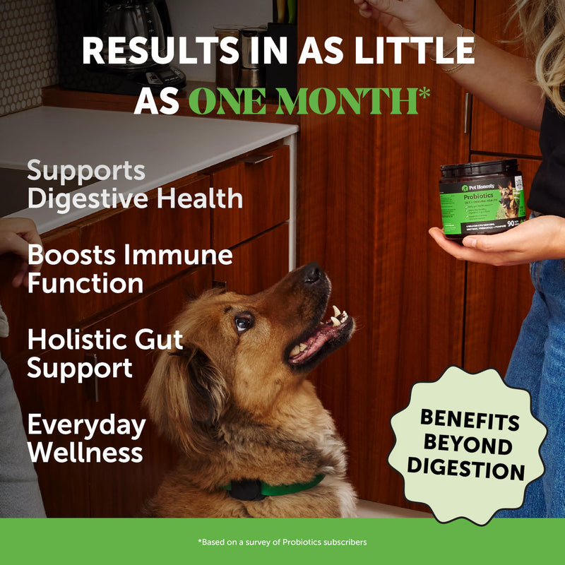Dog Digestive & Multivitamin Virtual Bundle – Probiotic Chews (Duck, 90 ct) + 10-in-1 Multivitamin Chews (Chicken, 90 ct)