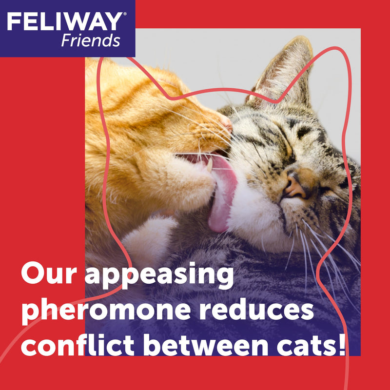 FELIWAY Friends 30 Day Cat Calming Plug In Pheromone Diffuser Starter Kit, 48ml - Helps create harmony and resolve conflict in multi cat households, Veterinary Recommended, Clinically Proven 48 ml (Pack of 1)