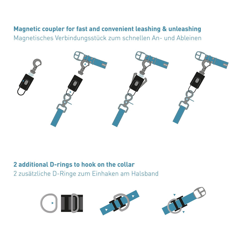PetTec leash click system | Magnetic closure for dog leash & dog collar for quick putting on and taking off the leash | Magnetic leash dog Anleinfix | Magnet click system fix rustproof black - BeesActive Australia