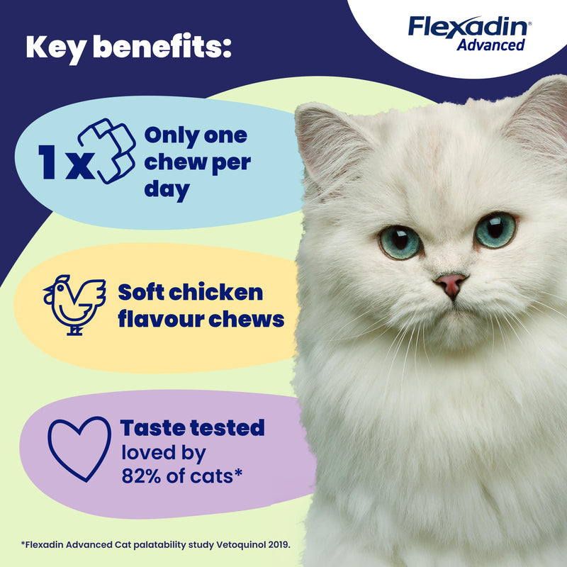 Flexadin Advanced Joint Care Supplement for Cats containing Undenatured Type II Collagen, Manganese, Methionine, Omega 3 & Vitamin E | 30 chews