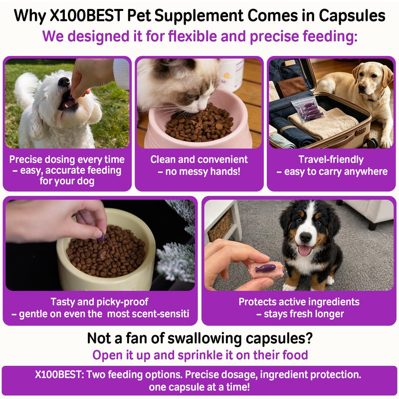 Lactoferrin & Sialic Acid for Dogs & Cats – with Astragalus Polysaccharides & BB536 Probiotics, Immune & Digestive Support for Senior Pets & Weaning Puppies/Kittens, 90 Softgels