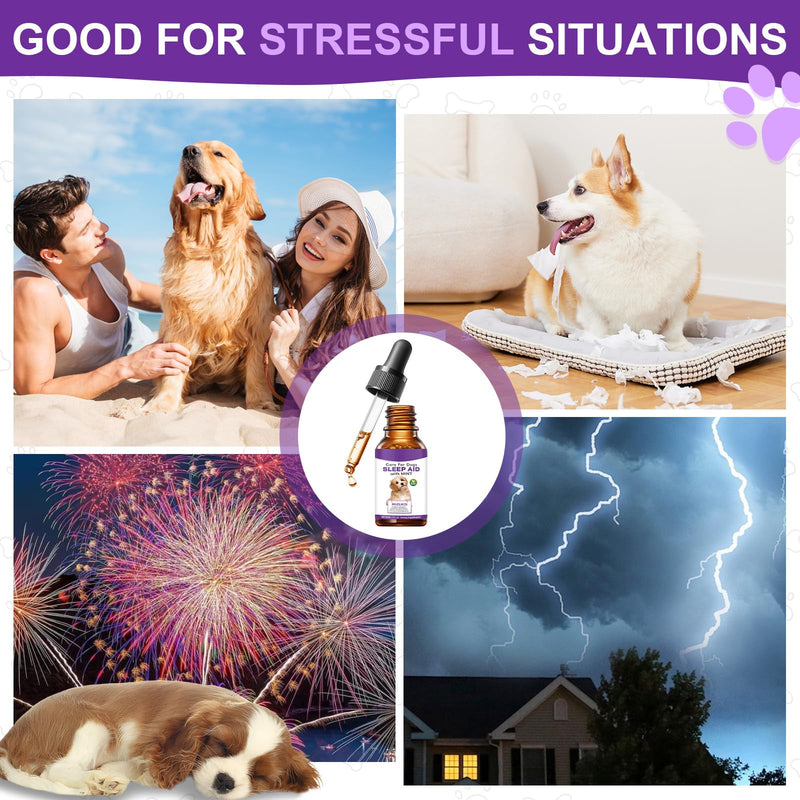 Melatonin for Dogs & Cats, Dog Melatonin, Promotes Relaxation, Sleep & Calm Behaviour for Dog, Dog Anxiety Relief Calming for Noise, Fireworks, Separation Anxiety & Travel Stress